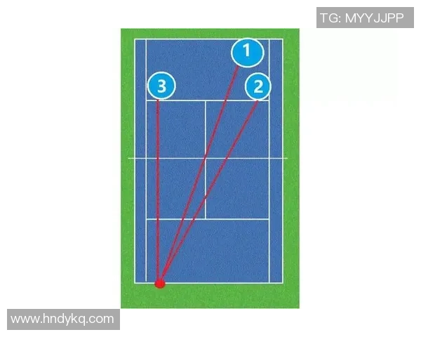 杭州网球队在锦标赛中的战术表现分析与点评探讨